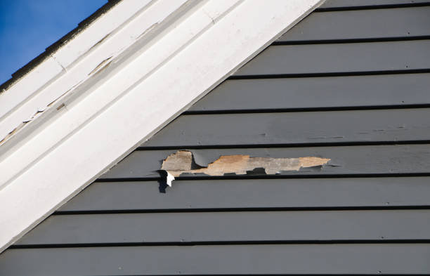 Shed Removal in South Farmingdale, NY